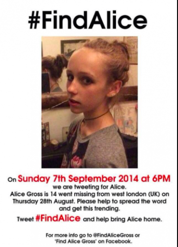 Find Alice Gross appeal 
