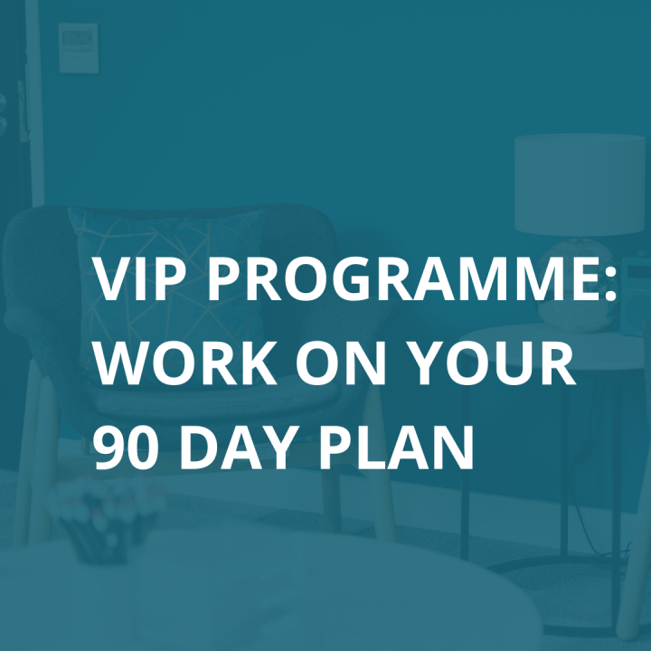 VIP 90 day plan programme